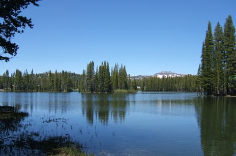 Picture taken across the street directly from our house