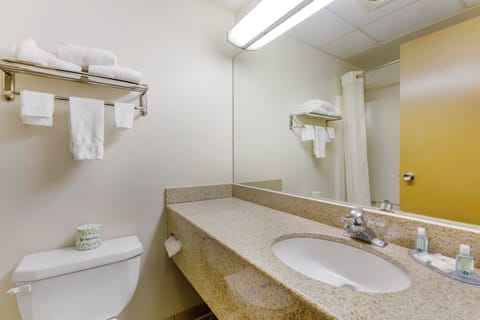 Iron/ironing board, free cribs/infant beds, rollaway beds, free WiFi