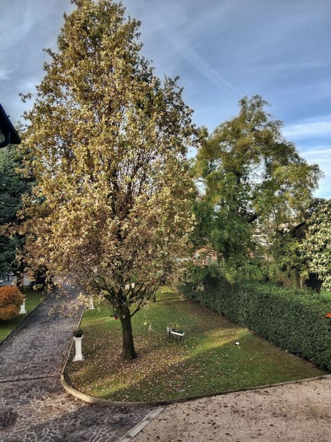 Standard Room | Terrace/patio