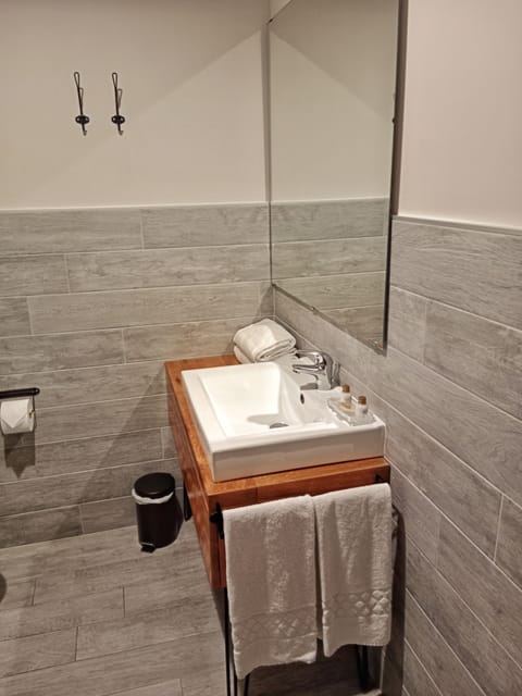 Deluxe Room | Bathroom | Shower, free toiletries, hair dryer, bidet