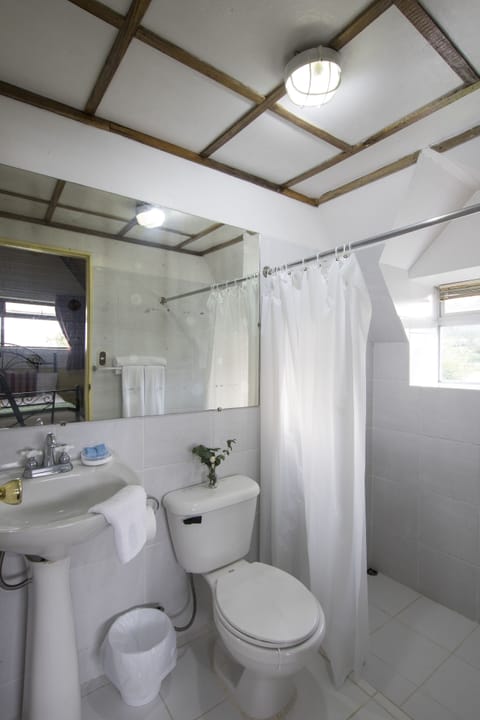 Triple Room | Bathroom | Shower, free toiletries, towels