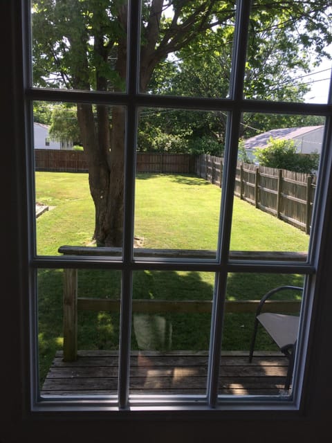 looking out the back door