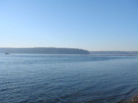 Point Defiance view