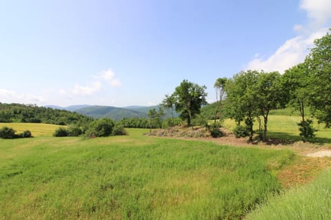 Cloud, Sky, Plant, Green, Tree, Natural Landscape, Vegetation, Highland, Grass, Cumulus