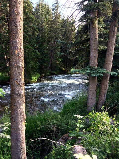 Water's Edge view of Gore Creek in the summer!
