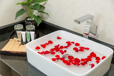 Superior Double Room | Bathroom | Combined shower/tub, rainfall showerhead, free toiletries, hair dryer