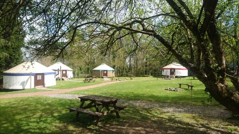 Large Village Yurt | Exterior