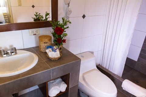 Standard Double Room, 1 Queen Bed | Bathroom | Shower, free toiletries, hair dryer, towels