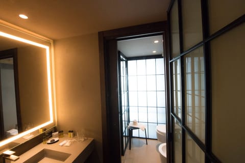 Deluxe Suite | Bathroom | Free toiletries, hair dryer, towels