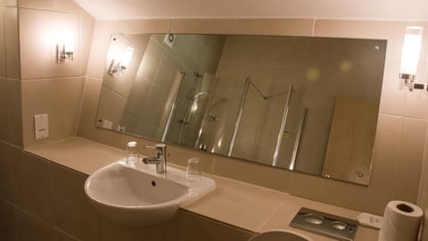 Superior Double or Twin Room | Bathroom | Shower, free toiletries, hair dryer, towels