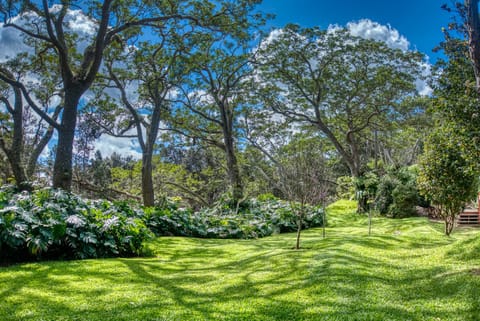Cabin, Private Bathroom, Garden View (Crater Rim Cabin) | View from property