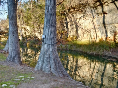 View of swimming hole with rope swing.