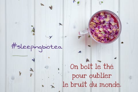 Deluxe Studio, 1 Queen Bed, Kitchen, Garden View | Private kitchen | Fridge, microwave, oven, stovetop