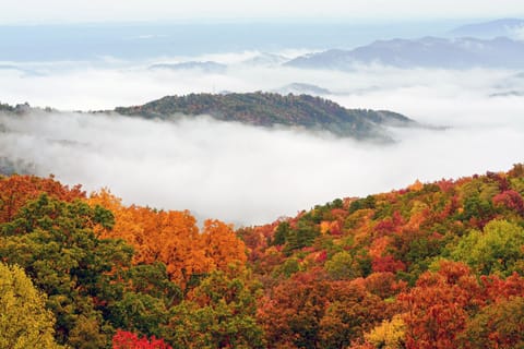 Awesome fall photo taken from our balcony by a guest!