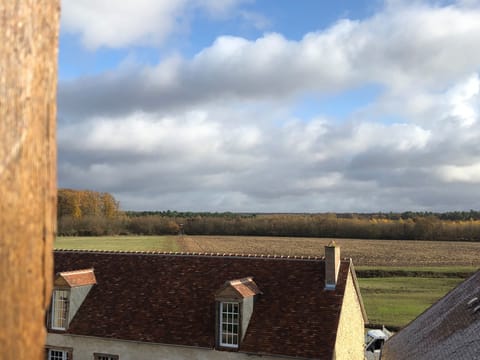 Grand Room | View from room