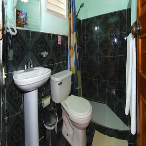 Double Room, Smoking | Bathroom | Shower, rainfall showerhead, free toiletries, hair dryer