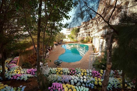 Outdoor pool, sun loungers