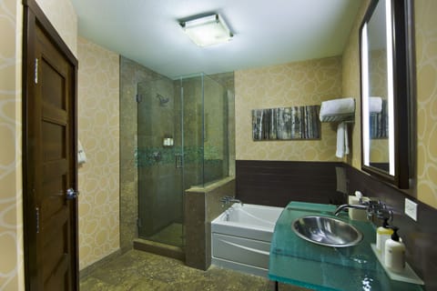 Terrace Suite | Bathroom | Separate tub and shower, deep soaking tub, eco-friendly toiletries