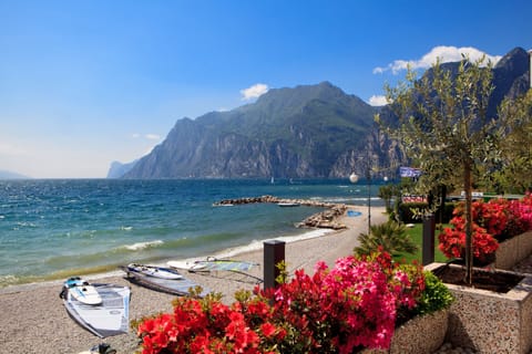 Private beach, sun loungers, beach umbrellas, beach yoga