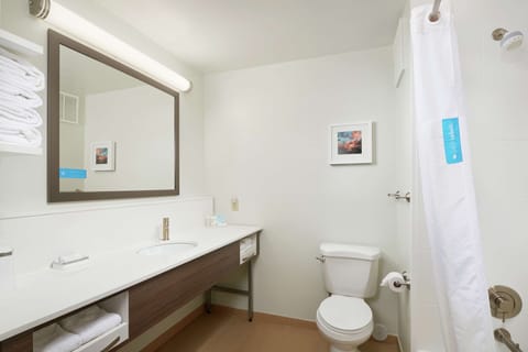 Suite, 1 Bedroom, Non Smoking | Bathroom shower