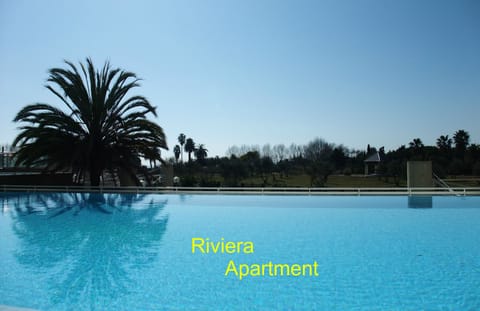 The infinity Swimming Pool for the Residence