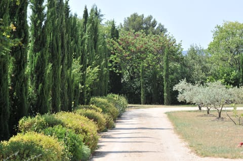 L'allée accédant à la piscine