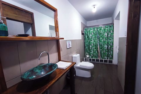 Family Room | Bathroom | Shower, rainfall showerhead, free toiletries, hair dryer