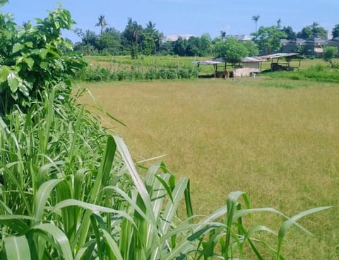 Standard Double Room, 1 Queen Bed, Garden View | Premium bedding, down comforters, pillowtop beds, minibar