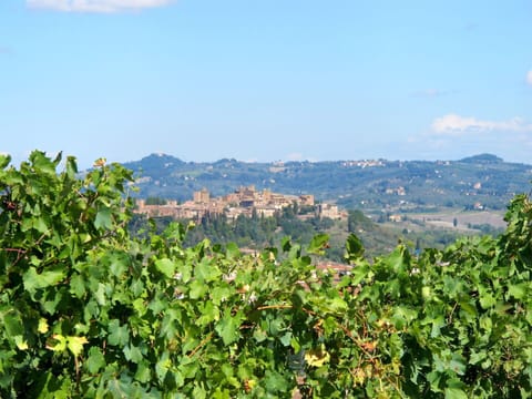 Furniture, Property, Ceiling Fan, Cabinetry, Table, Couch, Lighting, Picture Frame, Wood, Countertop