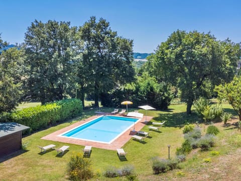 Plant, Property, Sky, Swimming Pool, Nature, Tree, Shade, Architecture, Chair, Outdoor Furniture