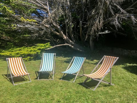 Chair, Furniture, Tree, Outdoor Furniture, Grass, Folding Chair, Leaf, Spring, Botany, Leisure