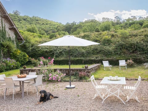 Plant, Cloud, Table, Furniture, Property, Sky, Nature, Chair, Botany, Outdoor Furniture