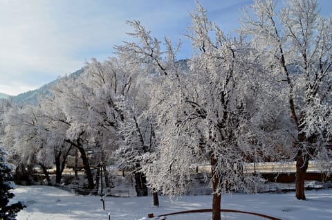 winter view of the park