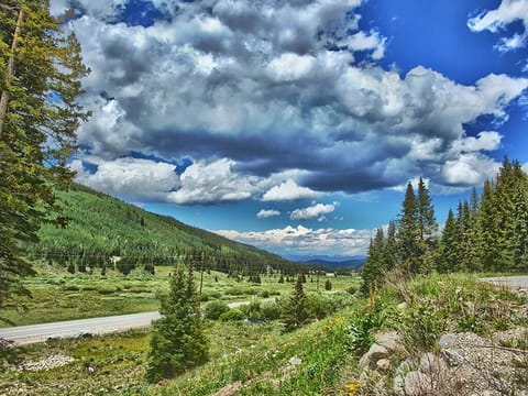 View from walkout basement patio