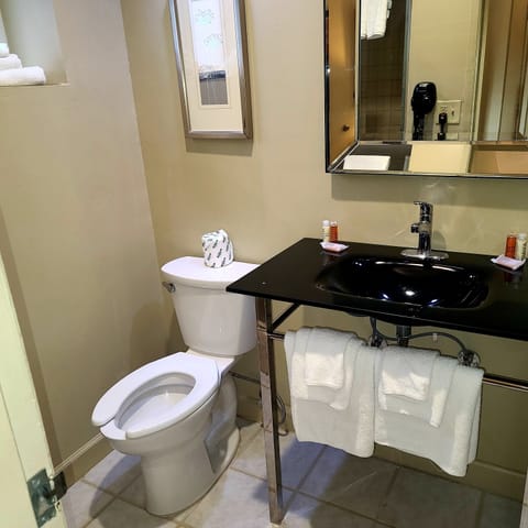 Suite, 1 Bedroom | Bathroom | Shower, free toiletries, hair dryer, towels