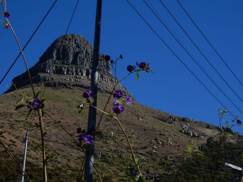 Land view from property