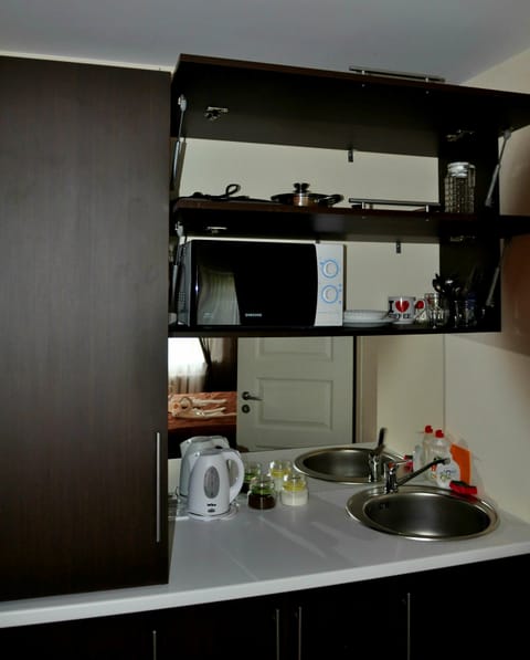 City Apartment, 1 Bedroom | Private kitchenette | Fridge, microwave, stovetop, espresso maker