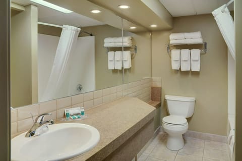 Combined shower/tub, free toiletries, hair dryer, towels