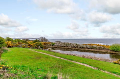 Cottage | Miscellaneous