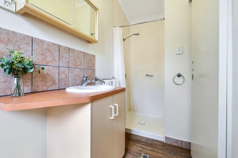 Executive Cabin, 1 Double Bed (Resort) | Bathroom | Shower, hair dryer, towels