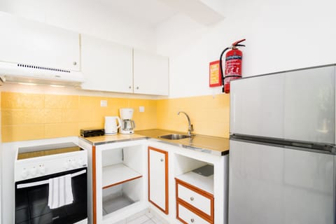 Apartment, Ground Floor (Type E) | Private kitchen | Full-size fridge, oven, stovetop, coffee/tea maker