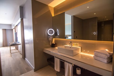 Presidential Suite | Bathroom | Shower, free toiletries, bidet, towels