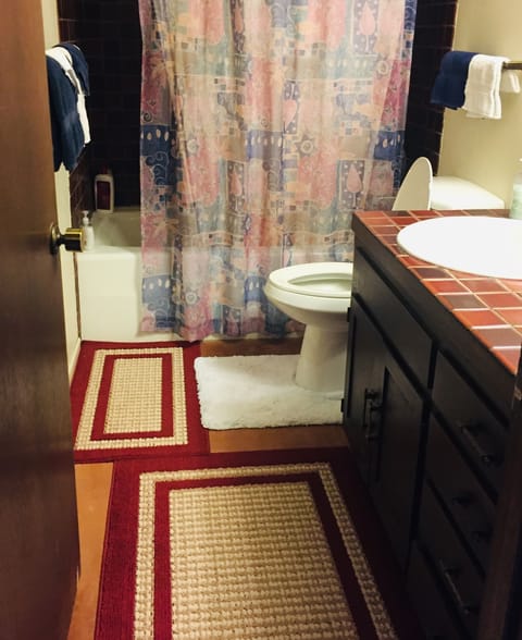 Combined shower/tub, slippers, towels