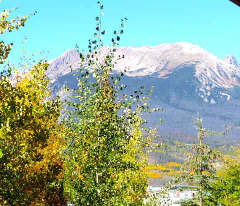 Buffalo Mountain from deck