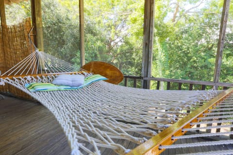 Welcome to Decked Out!