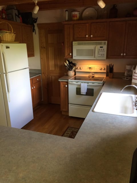 VERY well stocked kitchen for family feast or dinner for 2.