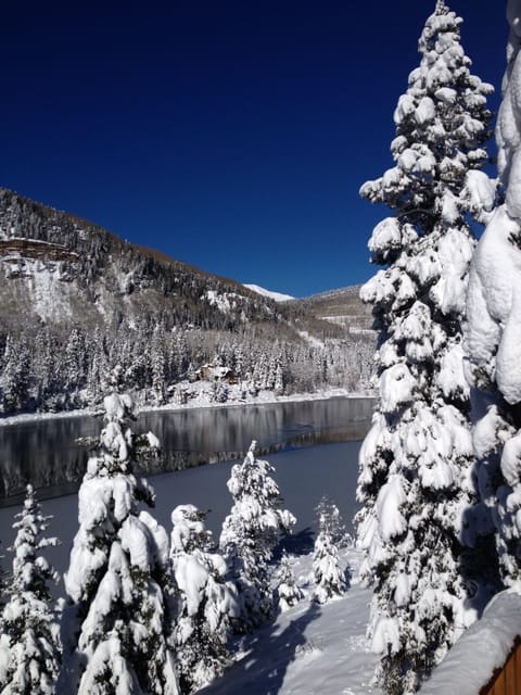 Winter Wonderland view from upper deck. Looking at Purgatory Ski resort.