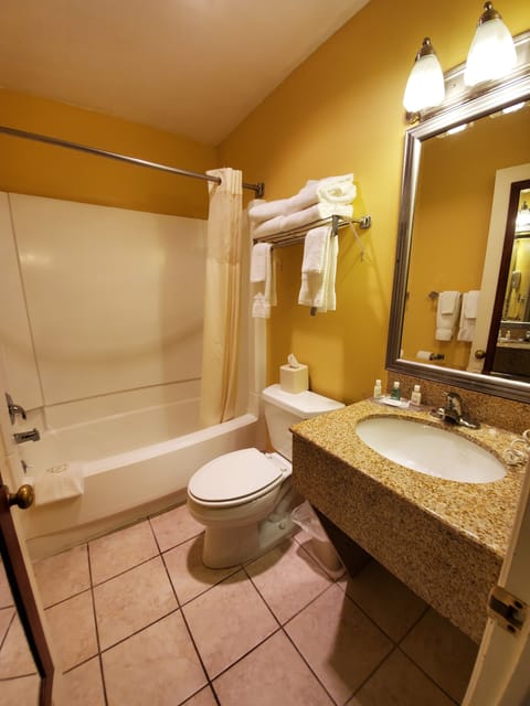 Combined shower/tub, free toiletries, hair dryer, towels