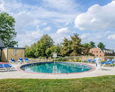 Seasonal outdoor pool, pool umbrellas, sun loungers