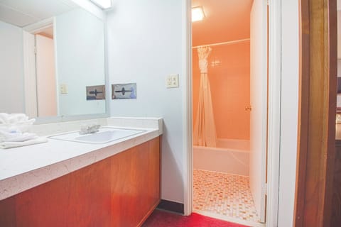 Room, 1 King Bed, Non Smoking | Bathroom | Combined shower/tub, deep soaking tub, free toiletries, hair dryer